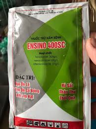 Ensino 400SC