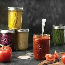 We did not find results for: Buy Ball Wide Mouth Mason Jars 16 Oz 6 Pack With Mason Jar Lids And Bands Ball Mason Jars 16 Oz For Canning Fermenting Pickling Jar Decor Microwave Freeze Dishwasher Safe