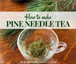 We did not find results for: How To Make Pine Needle Tea Benefits Pine Tea Recipe