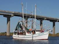 Florida Seafood Festival