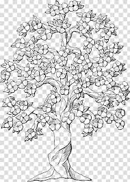Pypus is now on the social networks, follow him and get latest free coloring pages and much more. Coloring Book Colouring Pages Tree Oak Trunk Eating Grapes Sketch Transparent Background Png Clipart Nohat Free For Designer