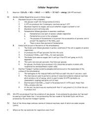 Chapter 9 Cellular Respiration Energy Harvesting