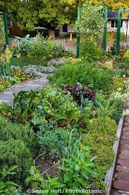 Ornamental Edible Garden Mixed Bed Of Herbs Vegetables And Flowers Between Paths In Rosalin Front Yard Garden Design Front Yard Garden Front Yard Landscaping