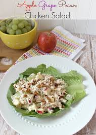 Asian Chicken Salad Recipe Justfoodrecipes Com Pecan Chicken Salads Pecan Chicken Salad Recipes
