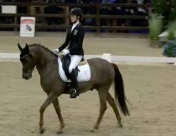 Shona benner pulls out of german team for 2021 junior europeans, schwierking steps in. Gluckwunsch Fur Shona Benner Music Dressage Freestyle Facebook