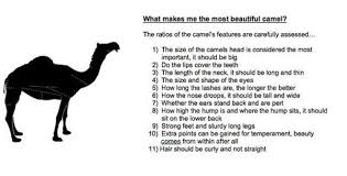 رأيت أنواع مختلفة من الإبل وعرفت أكثر حول ألوانها وأحجامها وأصولها. A Dozen Camels Disqualified From Saudi Beauty Pageant Over Botox Injections Ya Libnan