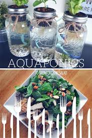 3 Mason Jar Aquaponics Kit Build Your Own Hydroponics Herb Garden Free Shipping Aquapo Aquaponics System Aquaponics Diy Backyard Aquaponics