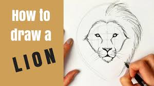 Draw in the head and torso. Beginners How To Draw A Lion Youtube