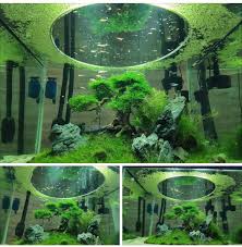 Amazing Tank Setup By Cheng Soong Keet Aquarium Landscape Fish Tank Plants Aquascape