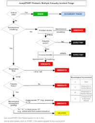 Triage Guidelines Chemm