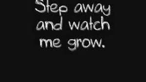 Beauty in the breakdown (acoustic) come on, take a step towards me, so you can figure me out, i've been hoping,and praying for a single way, to show you what i'm all about, and i know, and i know this is the only way of pleasing the crowd, The Scene Aesthetic Beauty In The Breakdown Lyrics Youtube