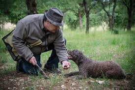 Karstadt hypothekenbank ag was founded in december 2001 to carry out mortgage banking transactions and renamed valovis bank ag on march 9, 2007. Maison Aux 1000 Truffes By L Or Des Valois Page 6 Offizielle Website Fur Tourismus In Burgund