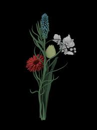 We did not find results for: Gifs Colossal Page 4