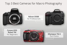12 Best Cameras For Macro Photography Review By Experts Macro Photography Macro Photography Tips Macro Photography Eyes