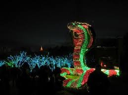 Perfect 20 Pics Atlanta Botanical Garden Holiday Lights Tickets And Review Atlanta Botanical Garden Botanical Gardens Christmas Lights