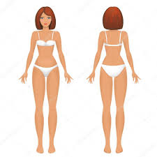 In this 12 part series jonathan williamson teaches how to model the female form using female anatomy references. Lower Body Parts In French Diagram Quizlet