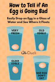Egg Float Test How To Tell If An Egg Is Bad Guide Ohcluck Com
