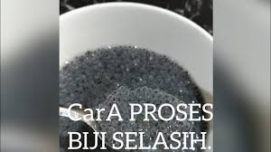 Eksperimen mengembangkan biji selasih lebih baik pakai air panas atau air biasa note: Cara Proses Biji Selasih Mudah Youtube
