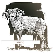 Rameses Business North Carolina If you see any issues please send. rameses business north carolina