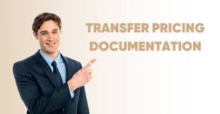 Transfer pricing documentation - TaxCoach