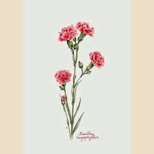 Flores Pintura Arte Hermoso Carnation Tattoo Carnation Flower Tattoo Flower Art