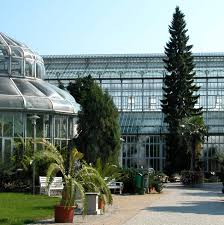 Sie wissen, dass mensa botanischer garten einen lieferservice oder produkte zum mitnehmen anbietet? Botanischer Garten Berlin Berlin Creme Guides