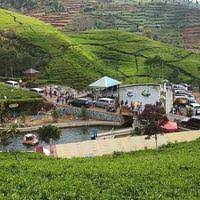 We did not find results for: Wisata Kebun Teh X Gua Ranjeng Local Business Paguyangan