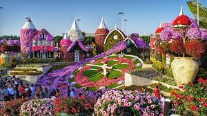 Use them in commercial designs under lifetime, perpetual & worldwide rights. Dubai Miracle Garden Pictures Download Free Images On Unsplash