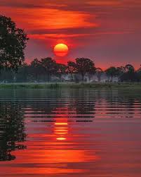 Browse and download the best free stock nature images. Pin On Musings Inspiration Wisdom