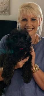 Giving puppies new home! To anyone who would want them 💞 they're 5 months  old! And they're girls