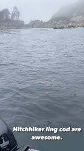 Hey Meghan Cheever, look who I saw….