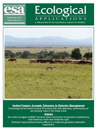 Image result for Rhynchosia holstii