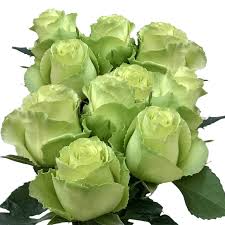 Check spelling or type a new query. Lime Green Roses For Sale 50 Flower Stems Emerald Green Roses Globalrose