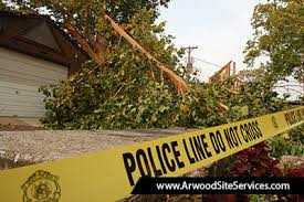 Vacuum with a shop vac with a certified hepa filter for floors, cracks and anywhere you see dust. Emergency Clean Up Neptune Beach Demolition Contractor Demolition Services Provided By Arwood Site Services