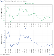 Investors Guide To Palm Oil Toptal