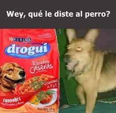 Pin En Memes