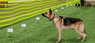 Pet stop dealer near me. Electric Dog Fence Installation Steps Athens Ga Pet Stop