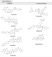 Image result for ALK Inhibitor