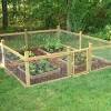 Are you need of a garden fence ideas that doesn't set you back high? 1