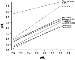 Camel and llama hemoglobins appear to be the most hydrophilic ones among the hemoglobins of various species investigated. Red Blood Cell Ph The Bohr Effect And Other Oxygenation Linked Phenomena In Blood O2 And Co2 Transport Jensen 2004 Acta Physiologica Scandinavica Wiley Online Library