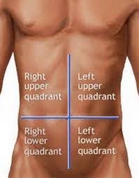 Check spelling or type a new query. In Which Abdominal Quadrant Is The Liver Located Socratic
