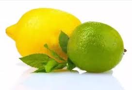 Like limes, there are several species of lemon that grow on small trees or bushes. What Is The Difference Between The Lime And The Lemon Quora
