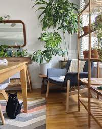 Cozy Plant Corner Home Homedesigns Design Homeideas Roomideas Room Rooms House Housedesigns Roomdesigns Home Cozy House Beauty Bedrooms
