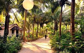 See 237 traveler reviews, 244 candid photos, and great deals for yab yum resort, ranked #4 of 33 hotels in mandrem and rated 4.5 of 5 at tripadvisor. Pin Em Travel