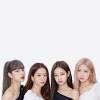 Hi friends, i am looking for really nice blackpink wallpapers for my desktop but i cant seem to find any. 1