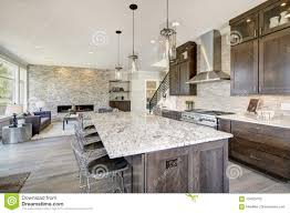 luxury kitchen in a new construction