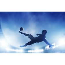 Image result for fotbal foarfeca