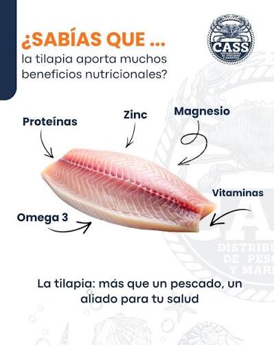 🧐¿Sabías que la tilapia es una fuente de proteína ligera y deliciosa que fortalece tu salud? 🐟🌿 Ven a nuestra sucursal y disfruta productos frescos y de calidad, ¡te esperamos! #FrescuraGarantizada #TilapiaSaludable #