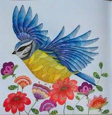 590 Animal Kingdom Colouring Book Ideas Animal Kingdom Colouring Book Animal Kingdom Millie Marotta Animal Kingdom This time we'll look at millie marotta's fabulous 'animal kingdom'. 590 animal kingdom colouring book ideas