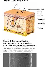 A wide variety of hair weave caucasian options are available to treat it like your own hair and take very good care of it for it to last longer. Pdf Determining The Effect On Caucasian Hair When Glycolic Acid Is Used In Hair Care Products Semantic Scholar